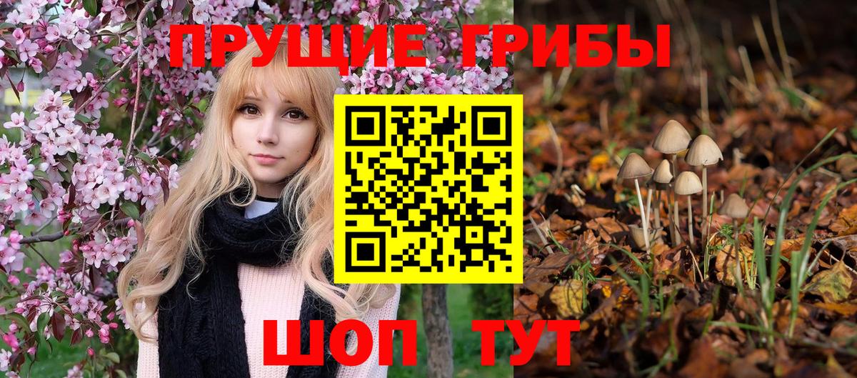 Галлюциногенные грибы Cubensis Шелехов